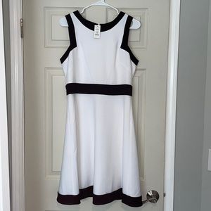 White House Black Market Dress NWT